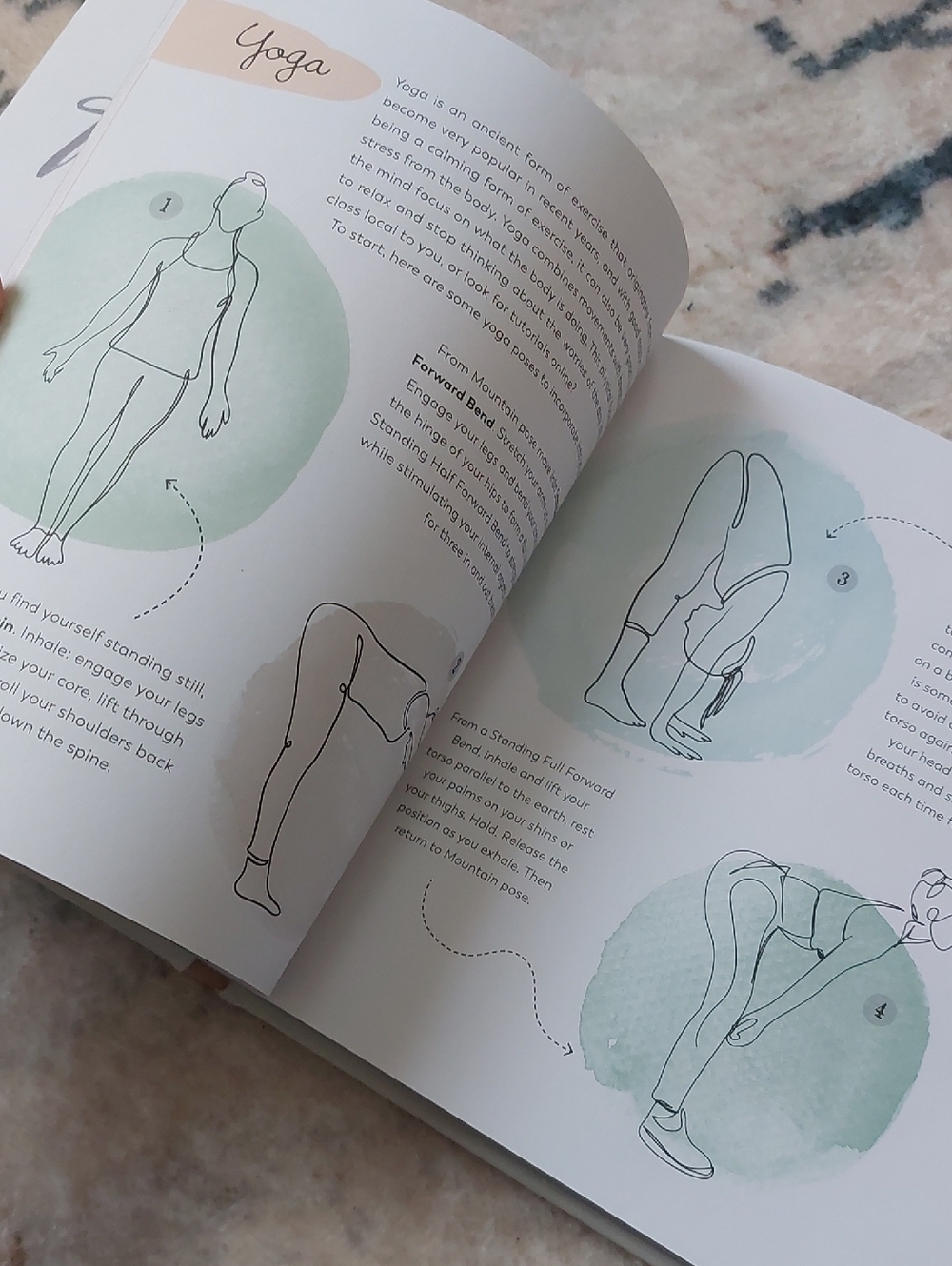 Coffee Table Books - Picture 7 of 10